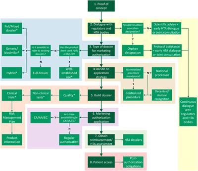 Access to medicines for rare diseases: A European regulatory roadmap for academia